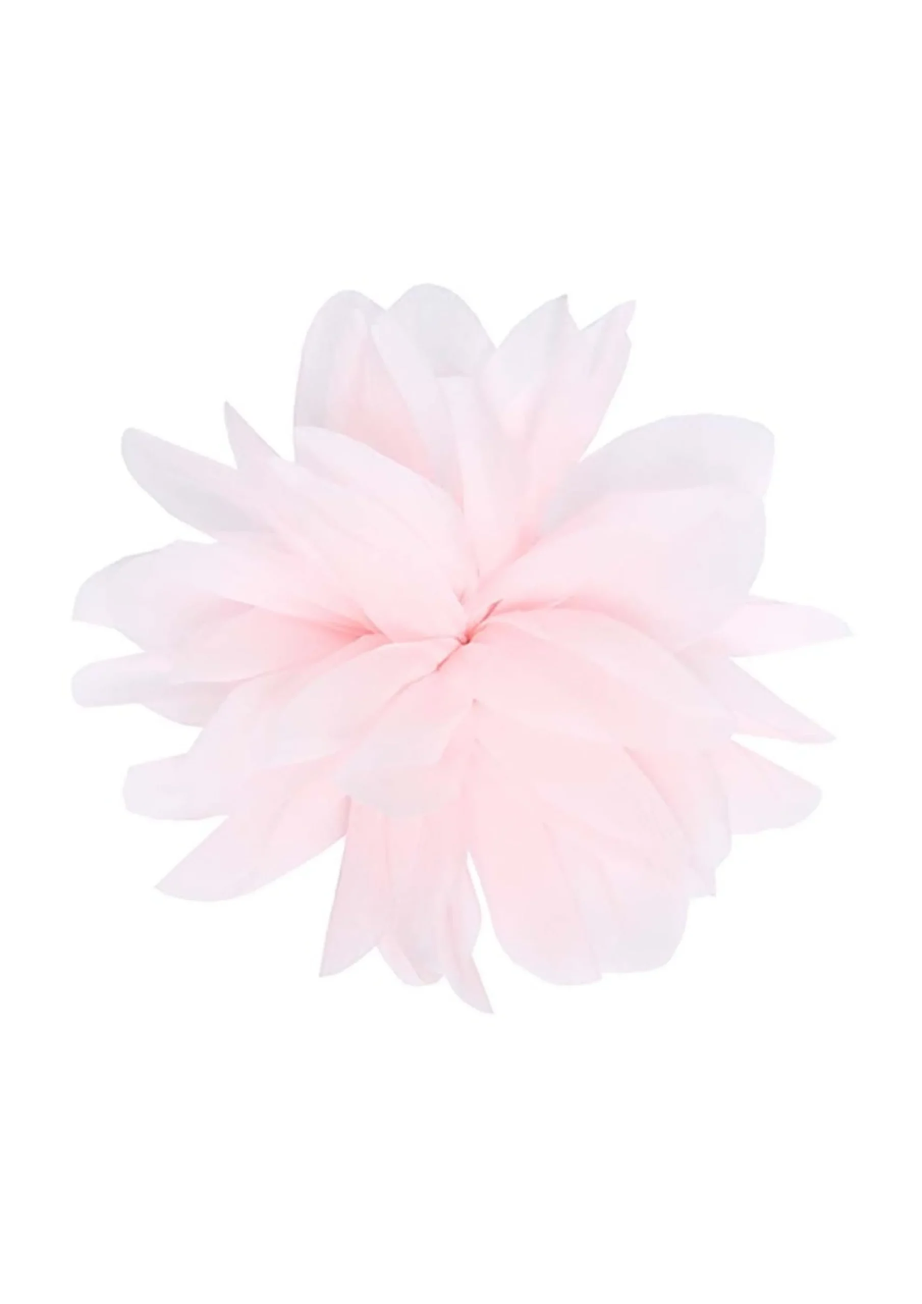 Accessories<BITTE KAI RAND Fabric flower broche BLACK